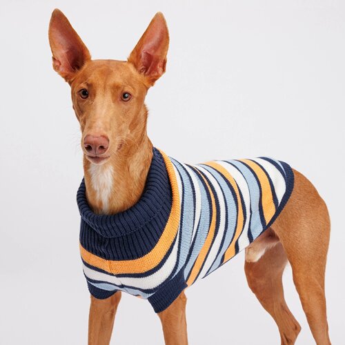 Petmax Свитер полосатый для собак, 55 см, оранжево-голубой