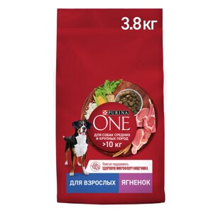 Purina ONE Корм сухой для собак средних и крупных пород, с ягненком и рисом, 3,8 кг