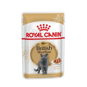 Royal Canin British Shorthair Adult Влажный корм (пауч) для кошек британской короткошерстной породы старше 12 месяцев, 85 гр.