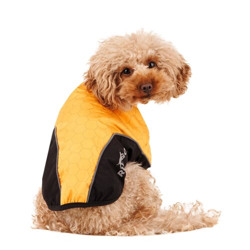 Rungo Куртка на молнии для собак L желтый (унисекс)