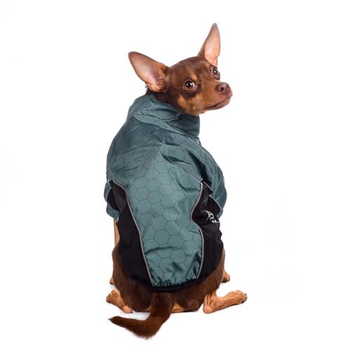 Rungo Куртка на молнии для собак мелких пород 24x36x23см S зеленый (унисекс)