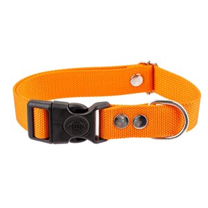 Rungo Ошейник для собак нейлоновый, L, обхват шеи 33-55 см, ширина 2,5 см, оранжевый