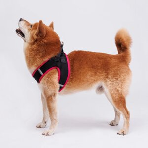 Rungo Шлейка-жилетка для собак Air, обхват груди 50-55 см, лента 25 мм, розовая
