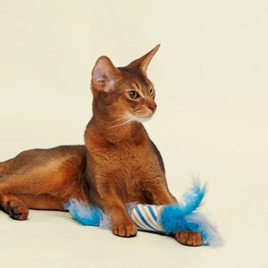 Rurri Игрушка-дразнилка с перьями для кошек Ролл Аквамарин, 27 см