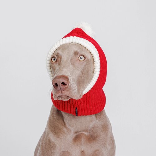 Rurri Капор для собак, обхват головы 26 см, высота шапки 23 см, красный