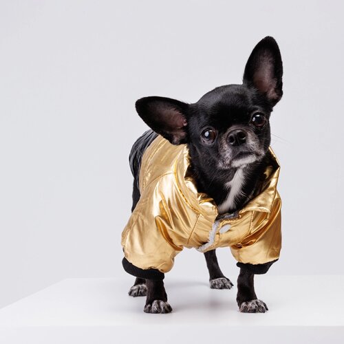 Rurri Куртка для собак, XS, золотая