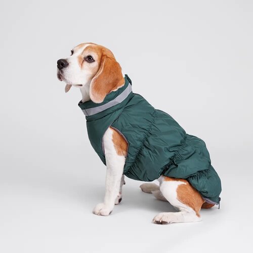 Rurri Куртка на молнии для собак, 2XL, зеленая
