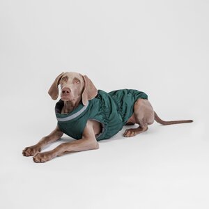 Rurri Куртка на молнии для собак, 3XL, зеленая
