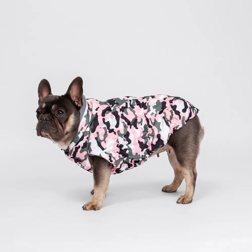Rurri Куртка на молнии для собак породы французский бульдог, размер 4, розовый камуфляж