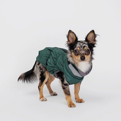 Rurri Куртка на молнии для собак, S, зеленая
