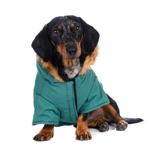 Rurri Куртка приталенная с меховым капюшоном для собак S зеленый (унисекс)