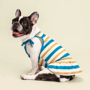 Rurri Майка-платье для собак и кошек Аквамарин, M, песочно-синее в полоску