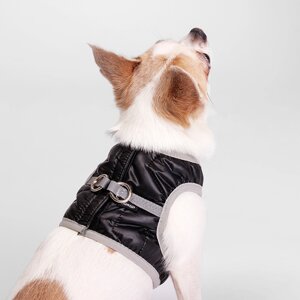 Rurri Шлейка со светоотражающей лентой для собак, XS, обхват груди 24-27 см, обхват шеи 18-20 см, черная