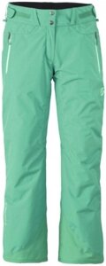 Штаны горнолыжные Scott Pant W's Hollis Arcadia Green