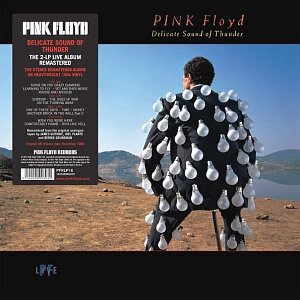 Виниловая пластинка Pink Floyd – Delicate Sound Of Thunder (2 LP)