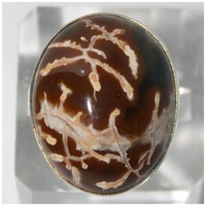 Кольцо True Stones, мельхиор, агат, размер 18, коричневый