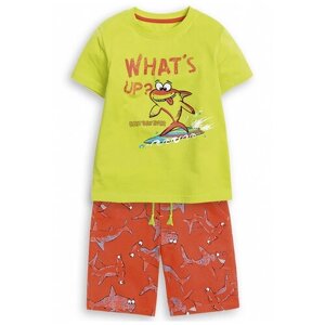 Комплект одежды Pelican для мальчиков, футболка и бриджи, повседневный стиль, размер 92, мультиколор