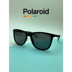 Солнцезащитные очки Polaroid, кошачий глаз, оправа: пластик, для женщин, черный
