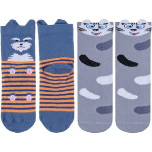 Комплект из 2 пар детских носков Брестские (БЧК) микс 13, размер 13-14