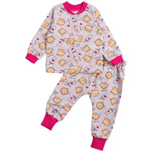 Комплект одежды Совенок Дона детский, кофта и брюки и ползунки, размер 52-80, серый
