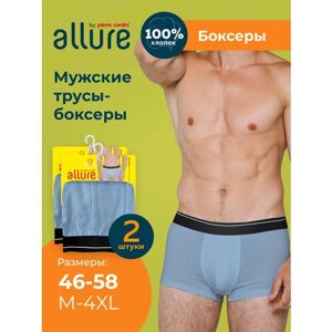 Комплект трусов боксеры ALLURE, средняя посадка, размер 4/M (46-48), голубой, 2 шт.