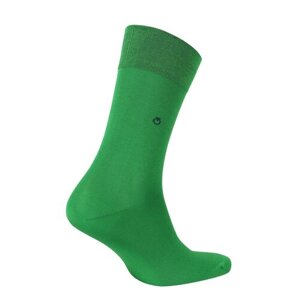 Мужские носки Opium, 1 пара, классические, размер 23, зеленый