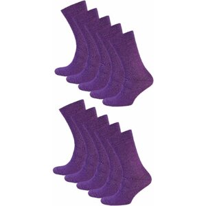 Мужские носки STATUS, 10 пар, классические, антибактериальные свойства, быстросохнущие, вязаные, износостойкие, усиленная пятка, размер 25, фиолетовый