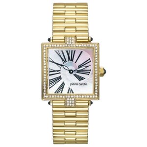 Наручные часы Pierre Cardin PC67592.415021