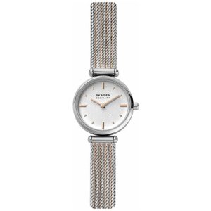 Наручные часы skagen наручные часы skagen SKW2978