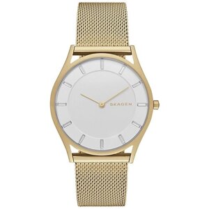 Наручные часы SKAGEN SKW2377, золотой