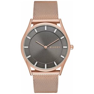 Наручные часы SKAGEN SKW2378, золотой