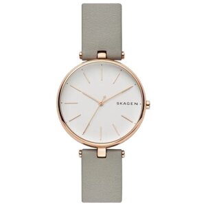 Наручные часы SKAGEN SKW2710, золотой