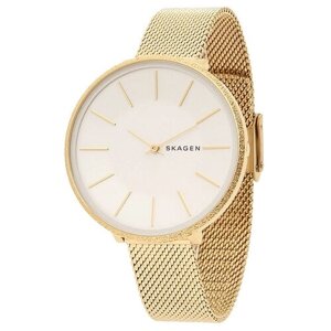 Наручные часы SKAGEN SKW2722, золотой