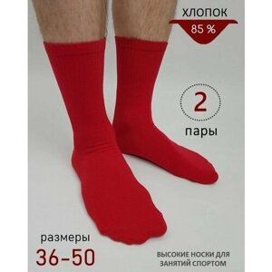 Носки унисекс BIZ-ONE, 2 пары, размер 44-45, красный