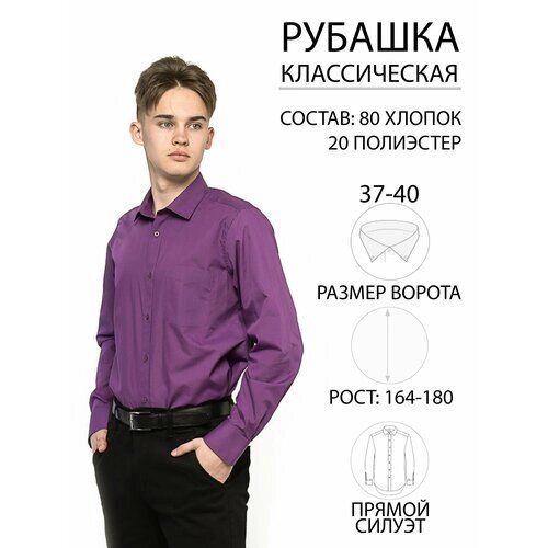 Рубашка Imperator, размер 37 ворот/170-176, фиолетовый