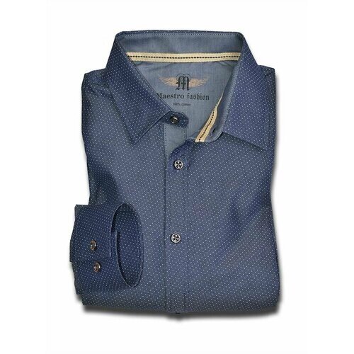 Рубашка Maestro, размер 48/M/178-186/41 ворот, синий