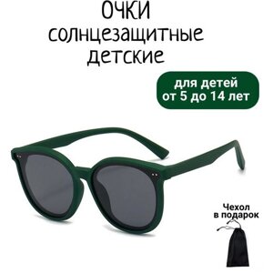 Солнцезащитные очки , вайфареры, оправа: пластик, чехол/футляр в комплекте, гибкая оправа/дужки, зеленый
