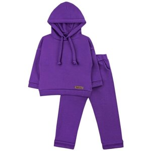 Спортивный костюм детский для девочки, для мальчика фиолетовый, из хлопка, с капюшоном, однотонный, темно-лиловый, чернильный 26 (86-92) 1,5-2 года