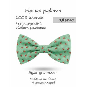 Бабочка HAPPYBOWTIE, зеленый, красный