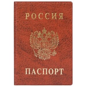 Для паспорта DPSkanc, коричневый, мультиколор