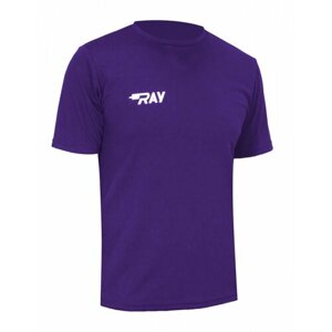 Футболка мужская спортивная для бега RAY TL (Men) белый