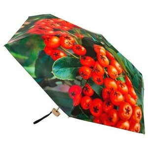 Мини зонт "Рябина" Rainlab 006MF
