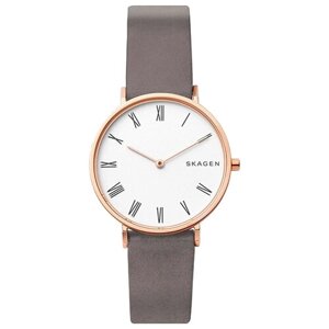 Наручные часы SKAGEN SKW2674, серый