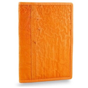 Обложка для паспорта Exotic Leather, натуральная кожа, отделение для карт, подарочная упаковка, оранжевый
