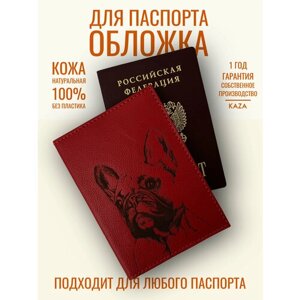 Обложка для паспорта KAZA X-12-2-8, красный