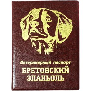 Обложка для паспорта Стрекоза, красный