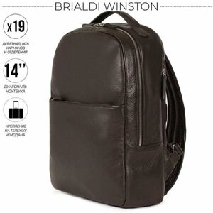 Рюкзак BRIALDI, натуральная кожа, отделение для ноутбука, вмещает А4, внутренний карман, регулируемый ремень, коричневый