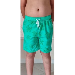 Шорты пляжные плавательные мужские Черепашки, оранжевый, размер 46/M, талия 74-78 см