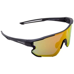 Солнцезащитные очки ThinkRider, вайфареры, оправа: пластик, спортивные, черный