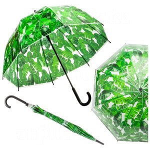 Зонт-трость ЭВРИКА подарки и удивительные вещи, полуавтомат, купол 80 см., 8 спиц, прозрачный, зеленый